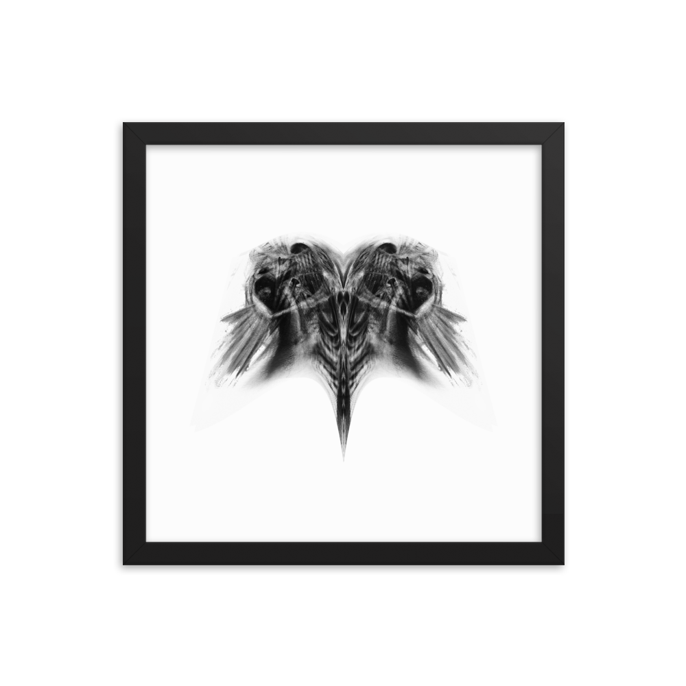 "PISCIS" - Framed poster