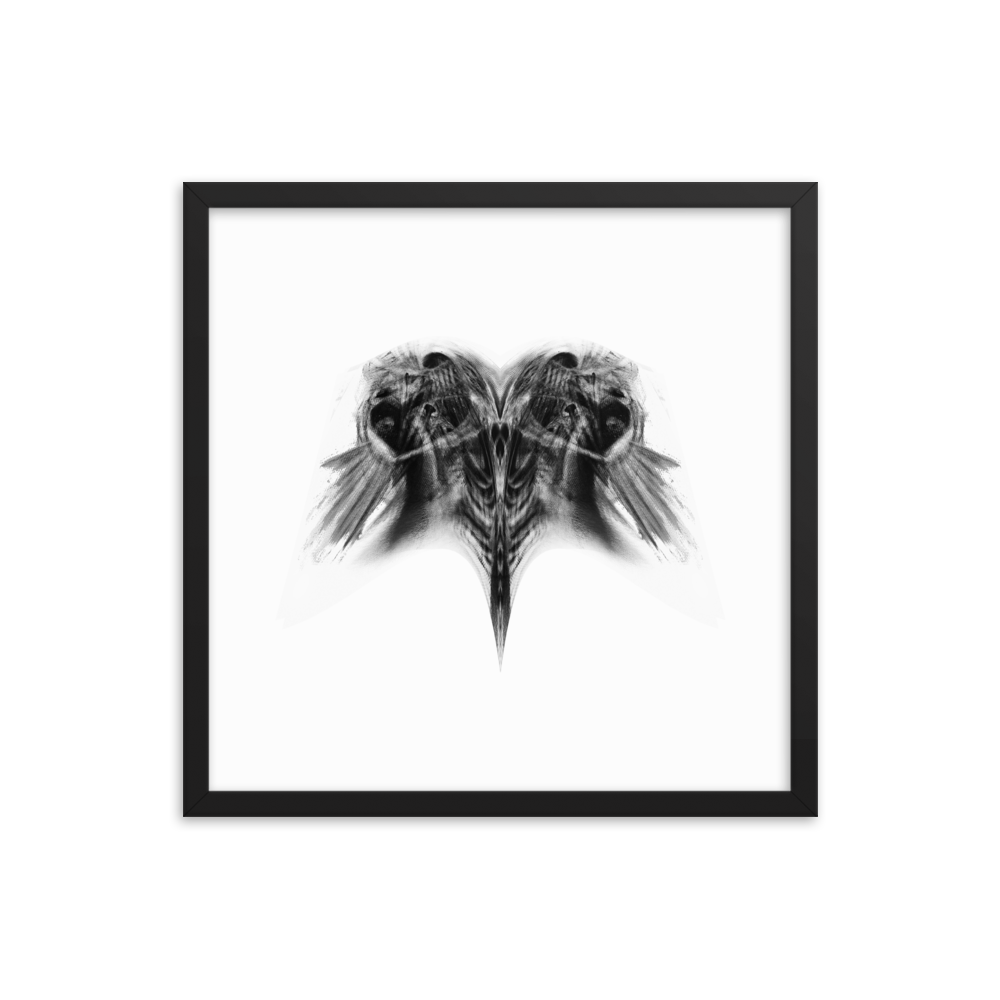 "PISCIS" - Framed poster